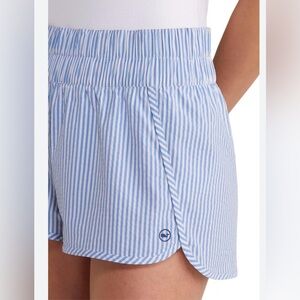 Vineyard Vines Light Blue & White Striped Athletic Shorts